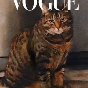 Meet your Posher, Bryanna